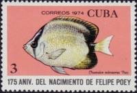 (1974-042) Марка Куба "Рыба-бабочка"    175 лет со дня рождения Фелипе Пои II Θ